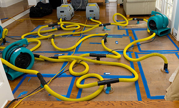 Professional Crawl Space Water Removal technician working in Burlington, IA